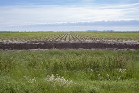 De delta is groot, vlak en veel